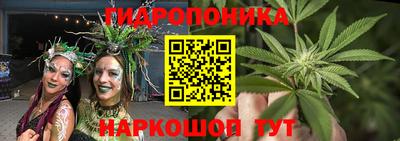 прущая мука Кимры