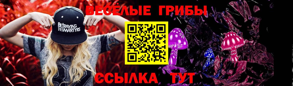 Галлюциногенные грибы Psilocybine cubensis  Галлюциногенные грибы Magic Shrooms  Вход с VPN  Клинцы 