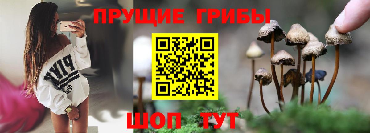 Галлюциногенные грибы Cubensis Клинцы