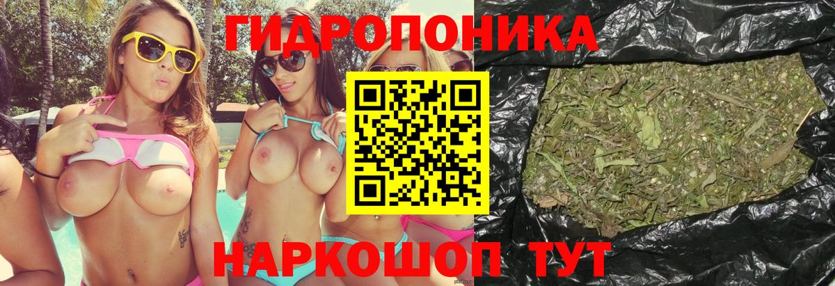 Клинцы  Канабис ГИДРОПОН  Марихуана SATIVA & INDICA  Конопля тримм  Вход с VPN  Конопля планчик 